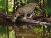 belize