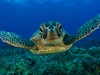 belize